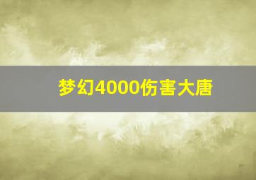 梦幻4000伤害大唐