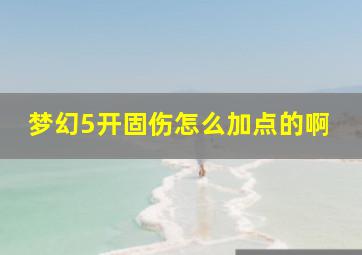 梦幻5开固伤怎么加点的啊