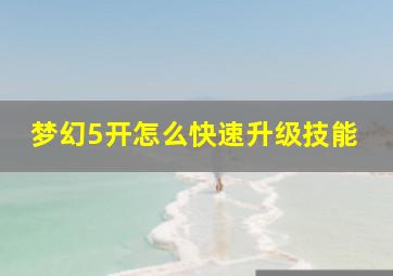 梦幻5开怎么快速升级技能