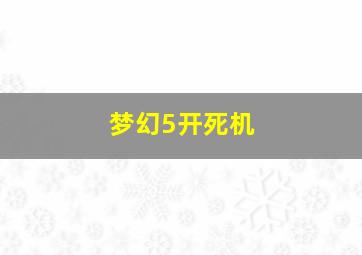 梦幻5开死机