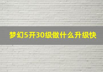 梦幻5开30级做什么升级快