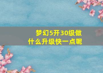 梦幻5开30级做什么升级快一点呢