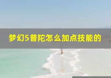 梦幻5普陀怎么加点技能的