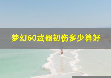 梦幻60武器初伤多少算好