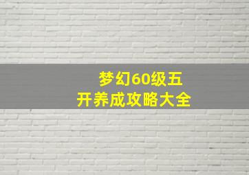 梦幻60级五开养成攻略大全