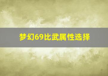 梦幻69比武属性选择