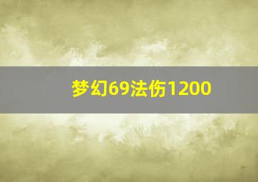 梦幻69法伤1200