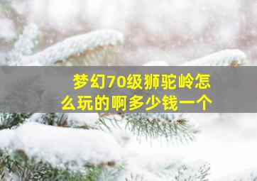 梦幻70级狮驼岭怎么玩的啊多少钱一个