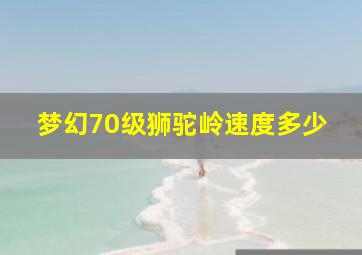 梦幻70级狮驼岭速度多少