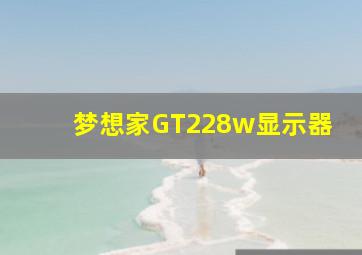 梦想家GT228w显示器