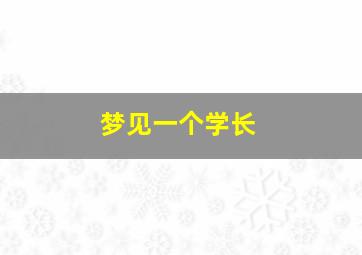 梦见一个学长