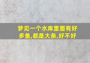 梦见一个水库里面有好多鱼,都是大条,好不好