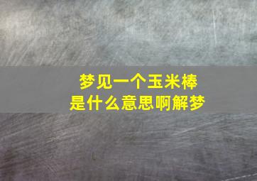 梦见一个玉米棒是什么意思啊解梦