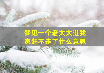 梦见一个老太太进我家赶不走了什么意思