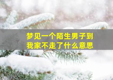 梦见一个陌生男子到我家不走了什么意思