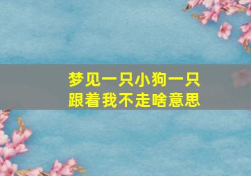 梦见一只小狗一只跟着我不走啥意思