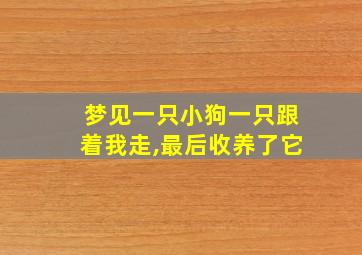 梦见一只小狗一只跟着我走,最后收养了它