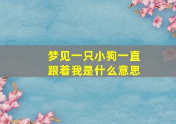 梦见一只小狗一直跟着我是什么意思