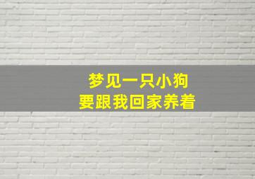 梦见一只小狗要跟我回家养着