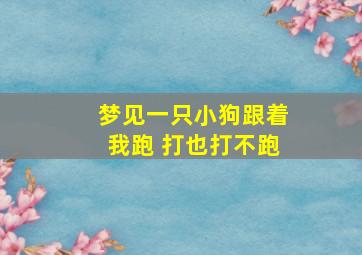 梦见一只小狗跟着我跑 打也打不跑