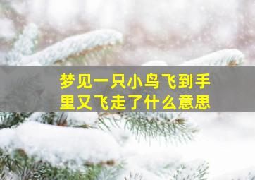 梦见一只小鸟飞到手里又飞走了什么意思