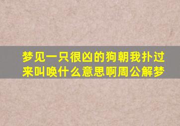 梦见一只很凶的狗朝我扑过来叫唤什么意思啊周公解梦