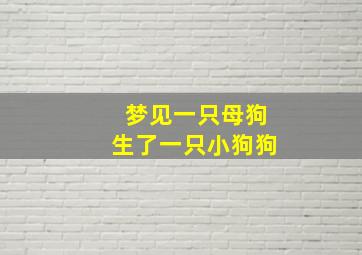 梦见一只母狗生了一只小狗狗