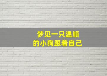 梦见一只温顺的小狗跟着自己