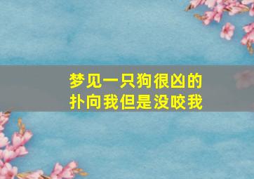 梦见一只狗很凶的扑向我但是没咬我