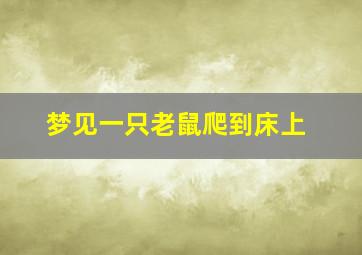 梦见一只老鼠爬到床上