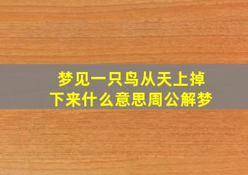 梦见一只鸟从天上掉下来什么意思周公解梦