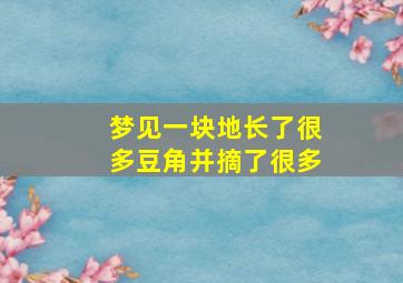 梦见一块地长了很多豆角并摘了很多