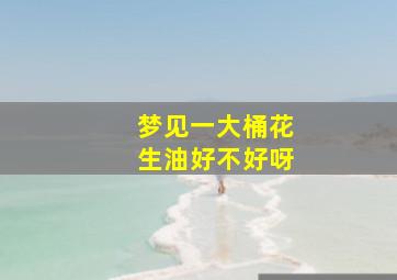 梦见一大桶花生油好不好呀