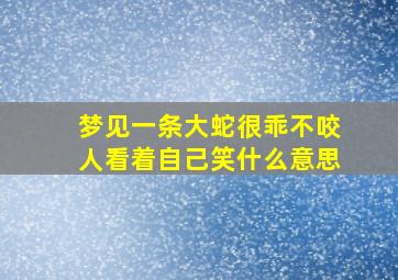 梦见一条大蛇很乖不咬人看着自己笑什么意思