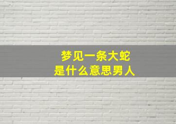 梦见一条大蛇是什么意思男人