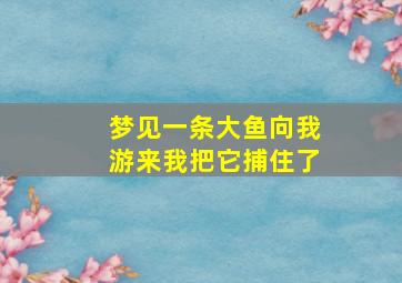 梦见一条大鱼向我游来我把它捕住了