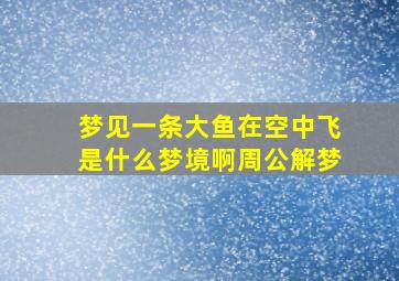 梦见一条大鱼在空中飞是什么梦境啊周公解梦