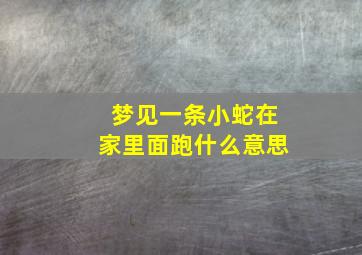 梦见一条小蛇在家里面跑什么意思