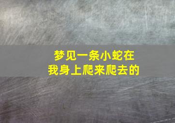 梦见一条小蛇在我身上爬来爬去的