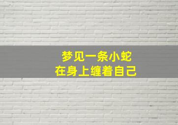 梦见一条小蛇在身上缠着自己