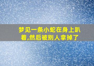 梦见一条小蛇在身上趴着,然后被别人拿掉了