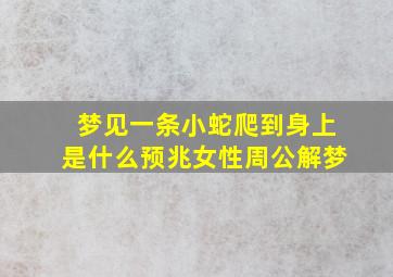 梦见一条小蛇爬到身上是什么预兆女性周公解梦