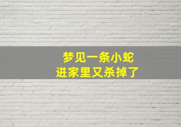 梦见一条小蛇进家里又杀掉了