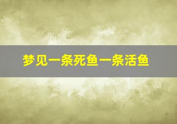 梦见一条死鱼一条活鱼