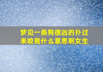 梦见一条狗很凶的扑过来咬我什么意思啊女生