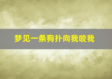 梦见一条狗扑向我咬我