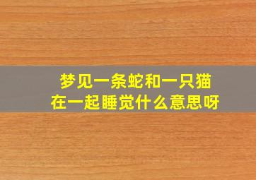 梦见一条蛇和一只猫在一起睡觉什么意思呀