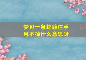 梦见一条蛇缠住手甩不掉什么意思呀