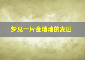 梦见一片金灿灿的麦田