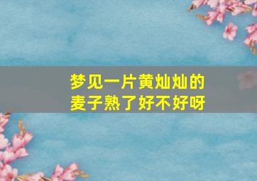 梦见一片黄灿灿的麦子熟了好不好呀